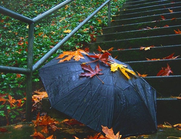 Осень дождь зонтик