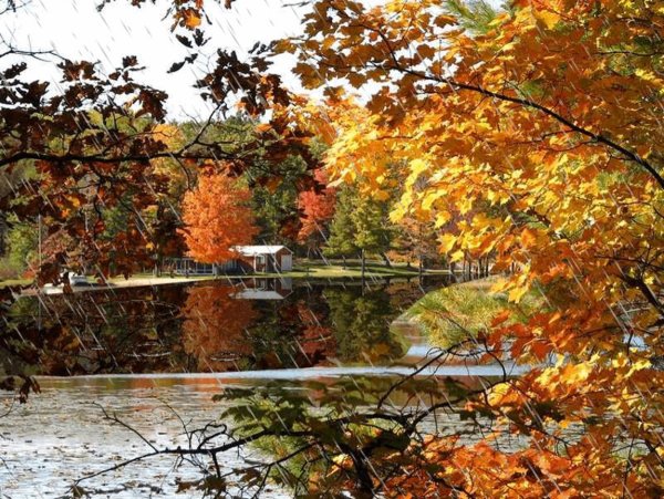 Осенний пейзаж живой