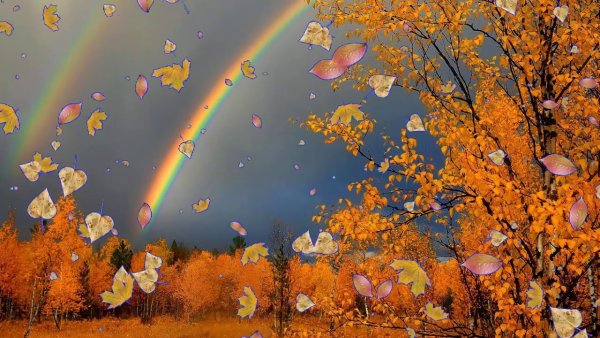 Осень Радуга