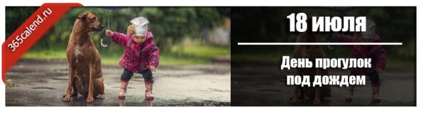 День прогулокплд дождем