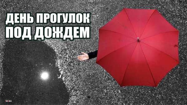 День прогулок под дождем