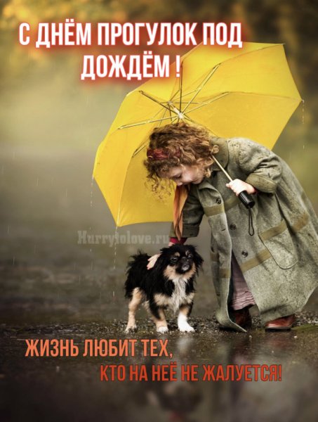 Животные с зонтиком