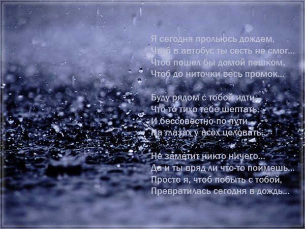 Дожди: стихи