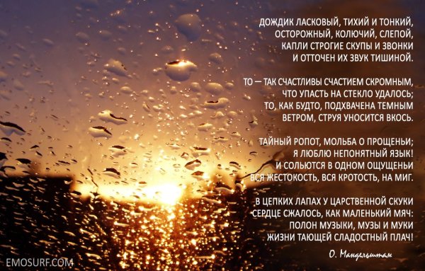 Дожди: стихи