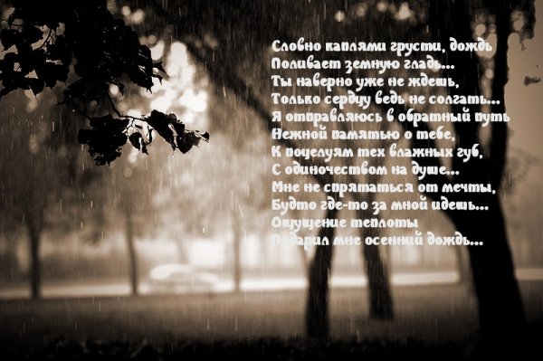 Стихи про дождь грустные