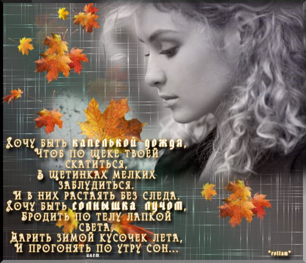 Стихи про дождь и любовь