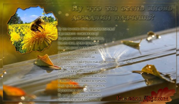 Стихи про дождь короткие красивые