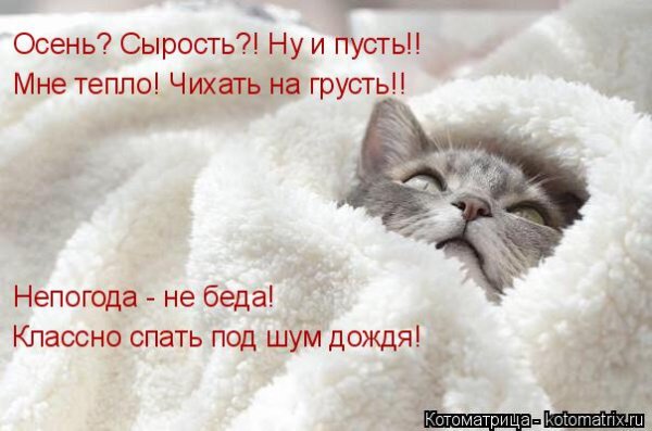 Под дождик хорошо спится