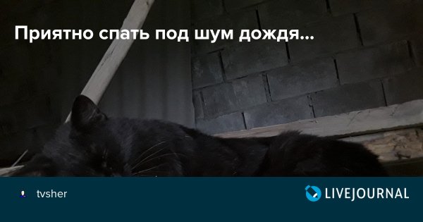 Сладких снов под шум дождя