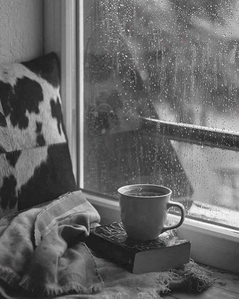 Дождь за окном