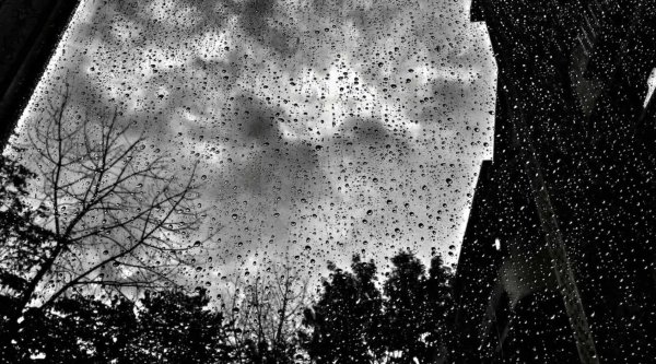 Чёрно белый дождь