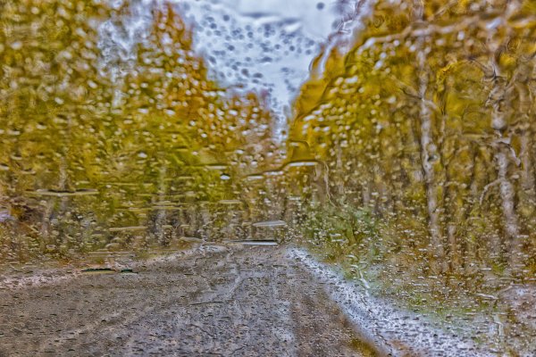 Последний дождь