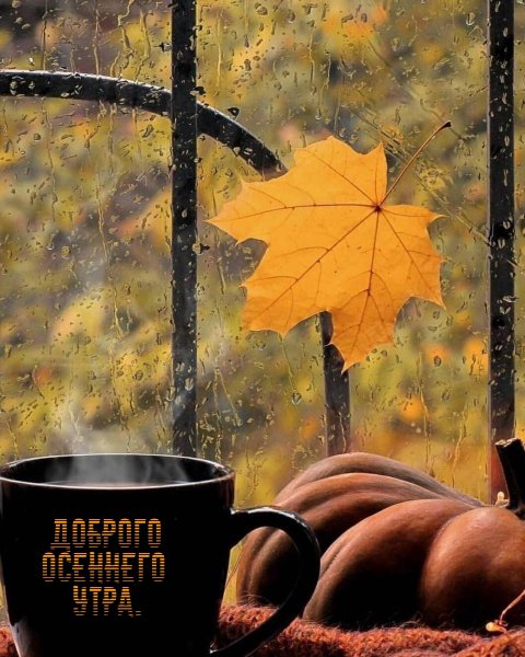 Доброе дождливое осеннее утро