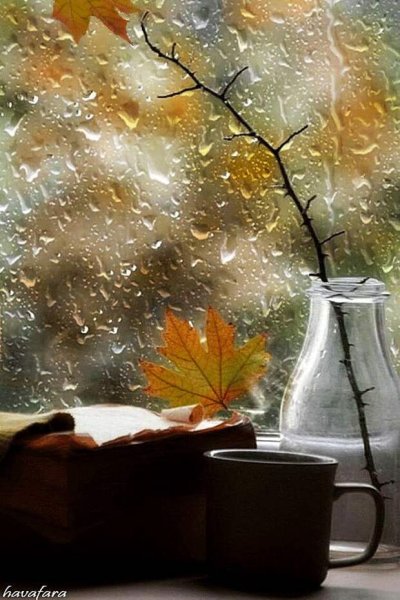 Дождливое утро осени