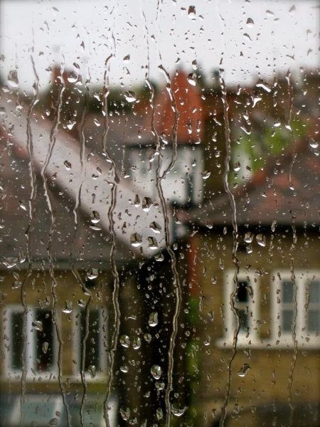 Доброе дождливое утро