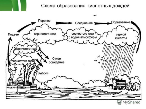 Механизм образования кислотных осадков схема