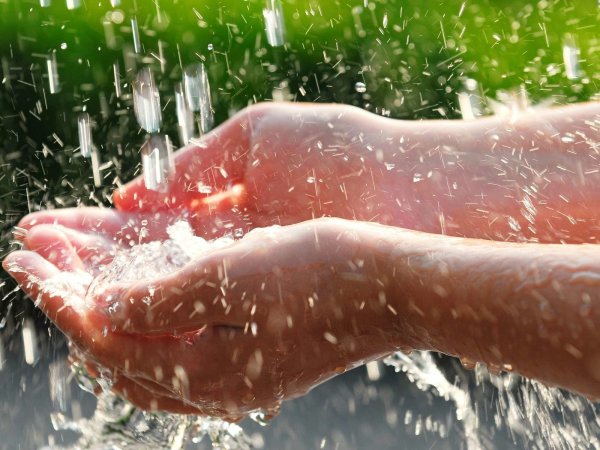 Дождевая вода