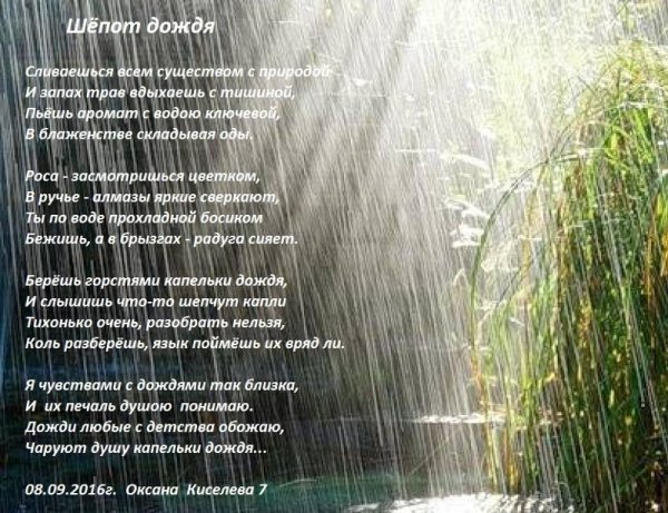 Дожди: стихи