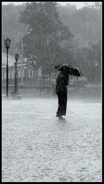 Статусы про дождь и грусть