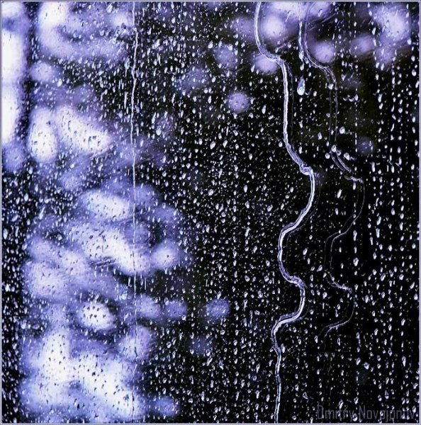 Движущиеся картинки дождь