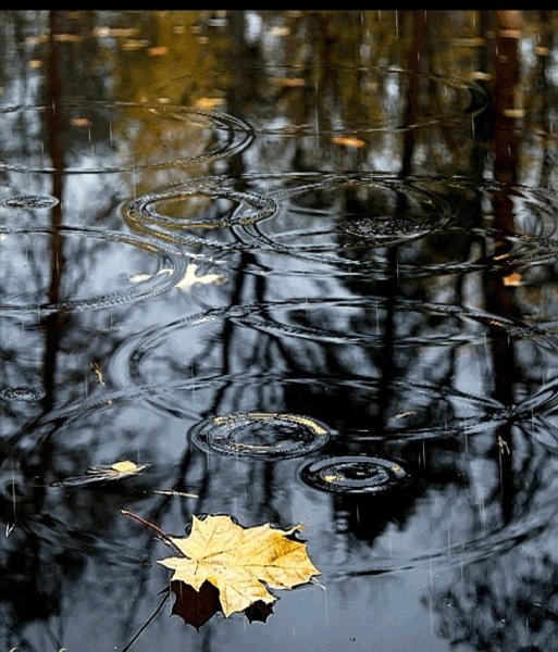 Отражение в воде