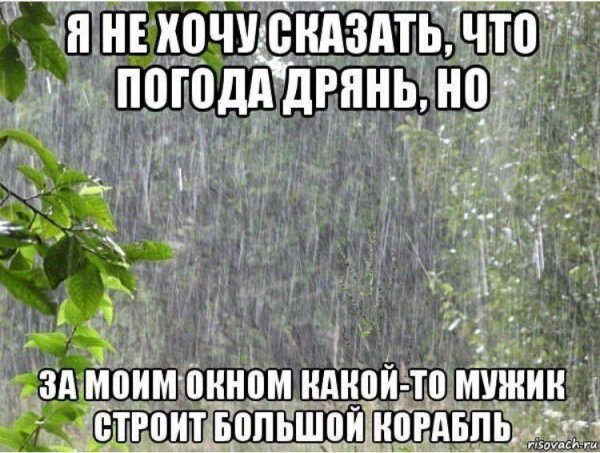Шутки про дождь