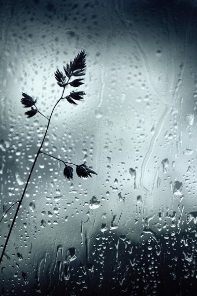 Обои на телефон 4к дождь