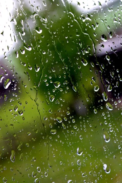 Макросъемка дождь