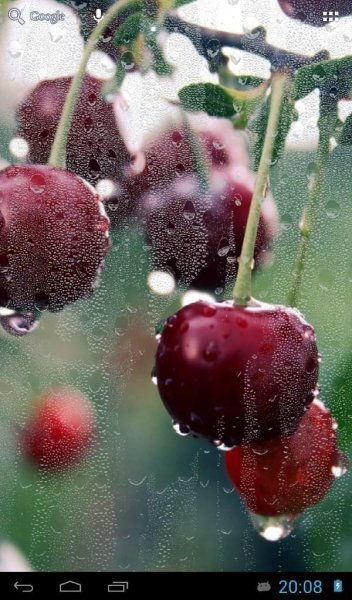 Блики на окне