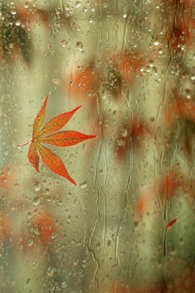 Зонт «капли»