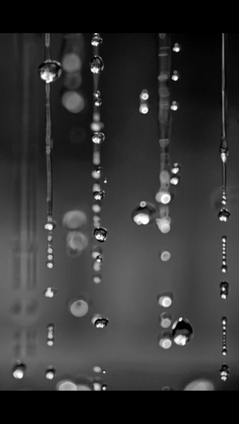 Дождливый день