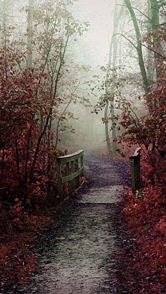 Позитивные заставки на телефон