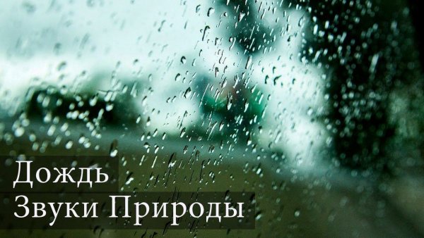 Дождь в окне картинки