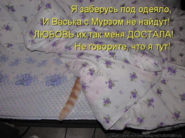 Забраться под одеяло