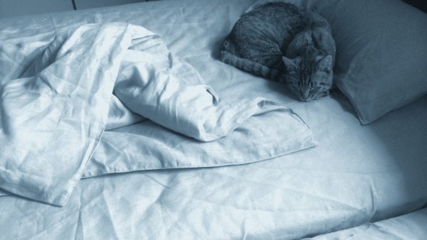 Скомканное одеяло