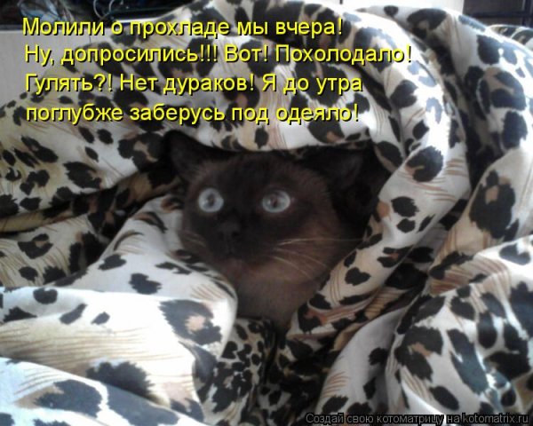 Настроение залезть под одеяло