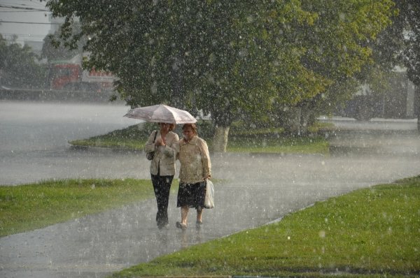 Дождь боять