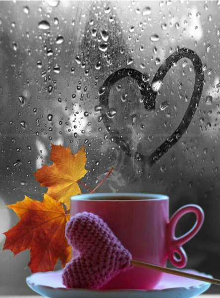 Дождливое утро осени