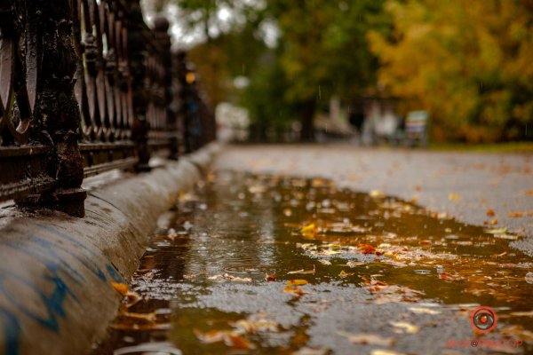 Пасмурная осень в городе