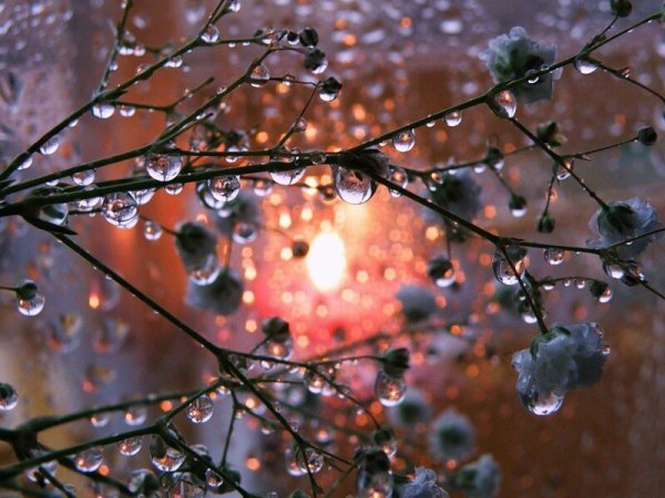 Апрельская капель