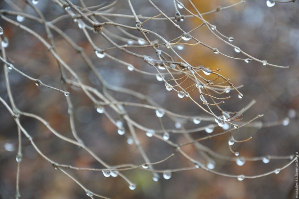 Апрельская капель