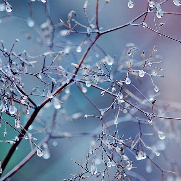 Весна капель