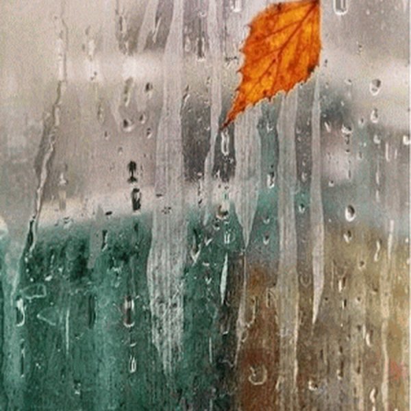 Чтобы увидеть радугу нужно пережить дождь