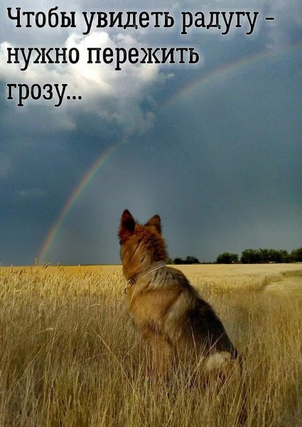 Чтобы увидеть радугу надо пережить