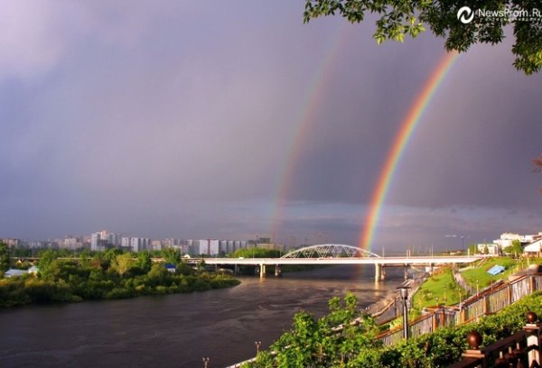 Тюмень дождь