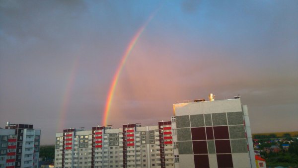 Дождь.ру новости