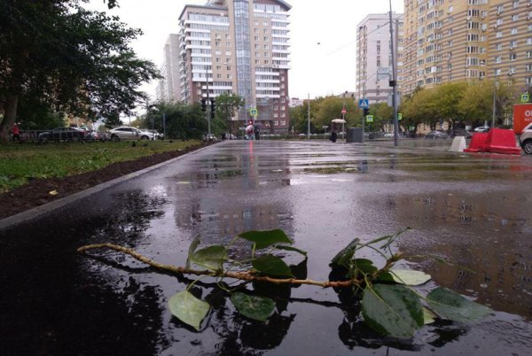Дождики Тюмень