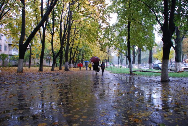 Дождливая осень в Одессе