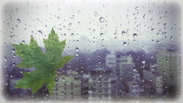 За окном барабанит дождь