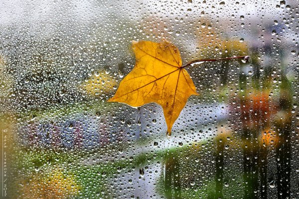 Барабанит по улице дождь